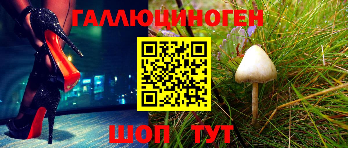 сколько стоит  Галлюциногенные грибы мухоморы  Вход с VPN  Стерлитамак  Галлюциногенные грибы прущие грибы 