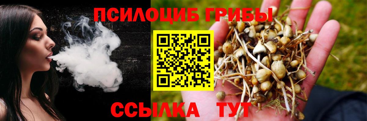 Галлюциногенные грибы Cubensis Стерлитамак